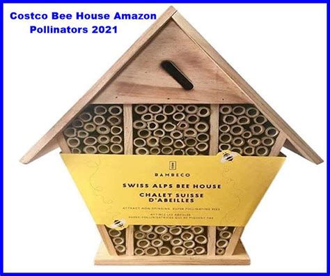 costco bee house